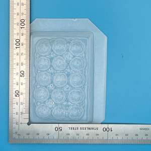 Raspberry Pie Rectangle Plastic Mould for Bath Bombs Soap Wax Resin