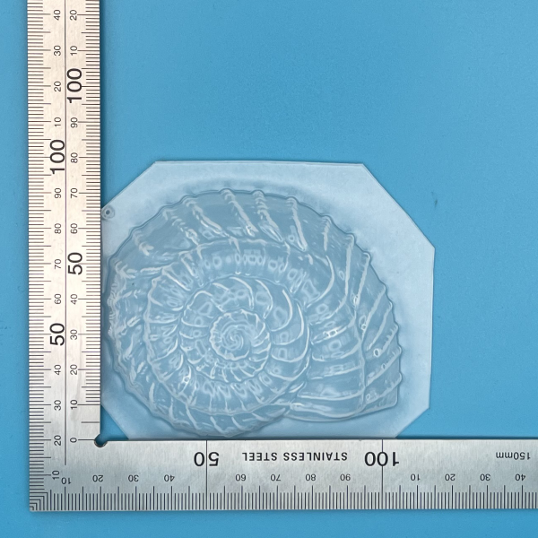 Spiral Shell Shape Plastic Mould