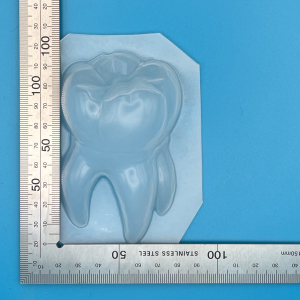 Long In The Tooth Mould