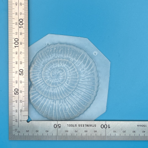 Spiral Shell Plastic Mould