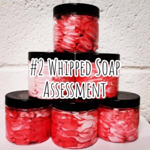 #2 Whipped Soap Assessment