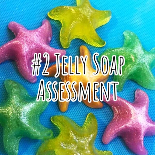 #2 Jelly Soap Assessment