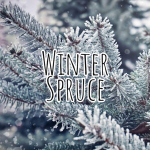 Winter Spruce Fragrance Oil