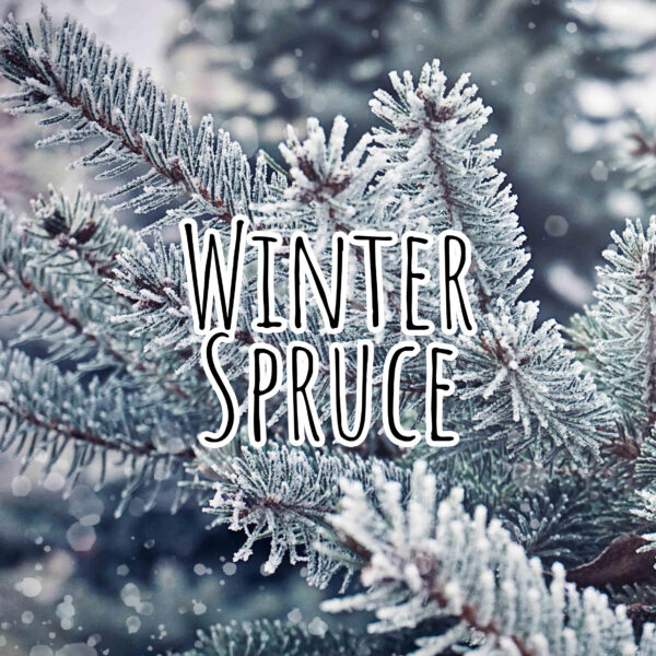 Winter Spruce Fragrance Oil