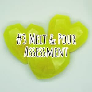 #3 Melt and Pour Assessment