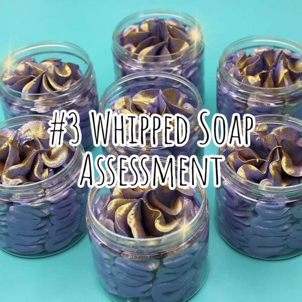 #3 Whipped Soap Assessment