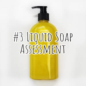 #3 Liquid Soap Assessment