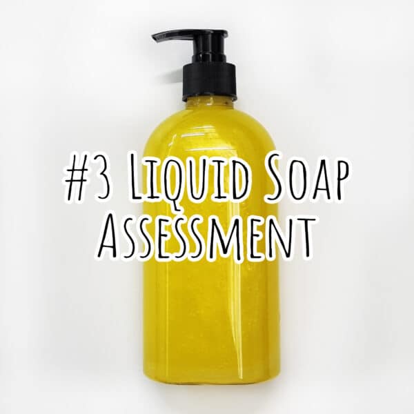 #3 Liquid Soap Assessment