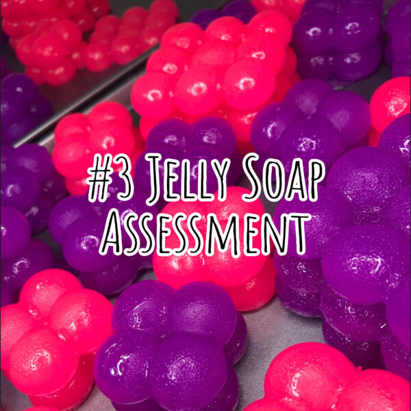 #3 Jelly Soap Assessment