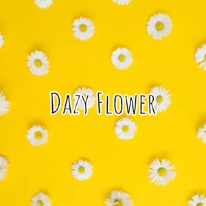 Dazy Flower Fragrance Oil