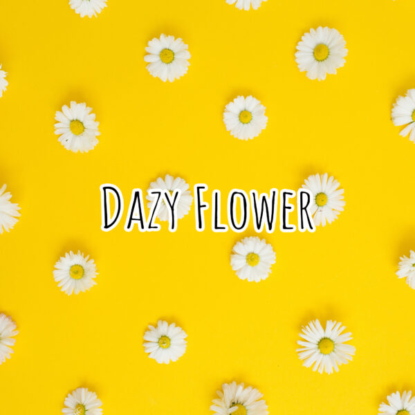 Dazy Flower Fragrance Oil