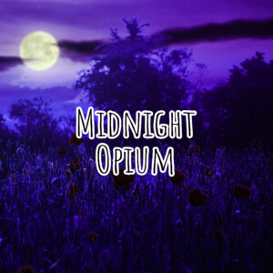 Midnight Opium Fragrance Oil