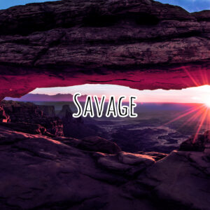 Savage Fragrance Oil