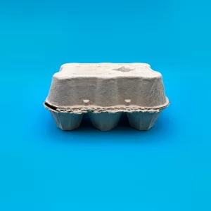 10 pack Economy Egg Boxes