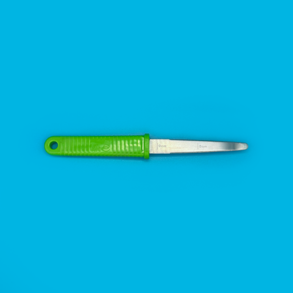 Precision Non Retractable Safety Knife